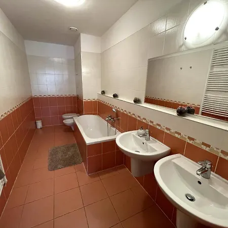 122 Certovka Apartment Karlovy Vary